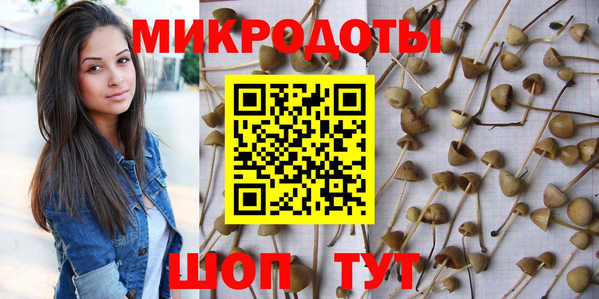 Галлюциногенные грибы мицелий Дивногорск