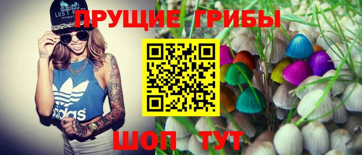 Дивногорск  Псилоцибиновые грибы мухоморы  Вход с VPN 